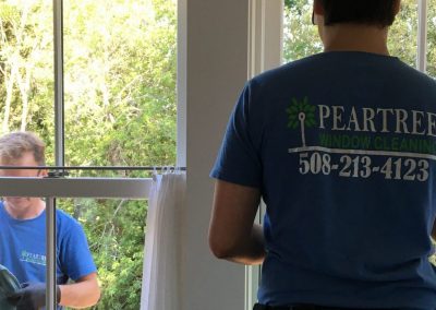How PearTree Works? and What’s Included in a Window Cleaning